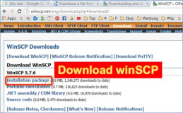 Access: SFTP Files downloaden, Teil 1 eigenständige Anwendung
