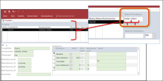 MS Access: Create a multiple query with multiple words