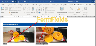 Text input fields in Word with vba c #