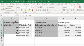 Excel: Convert numbers, date and time to text